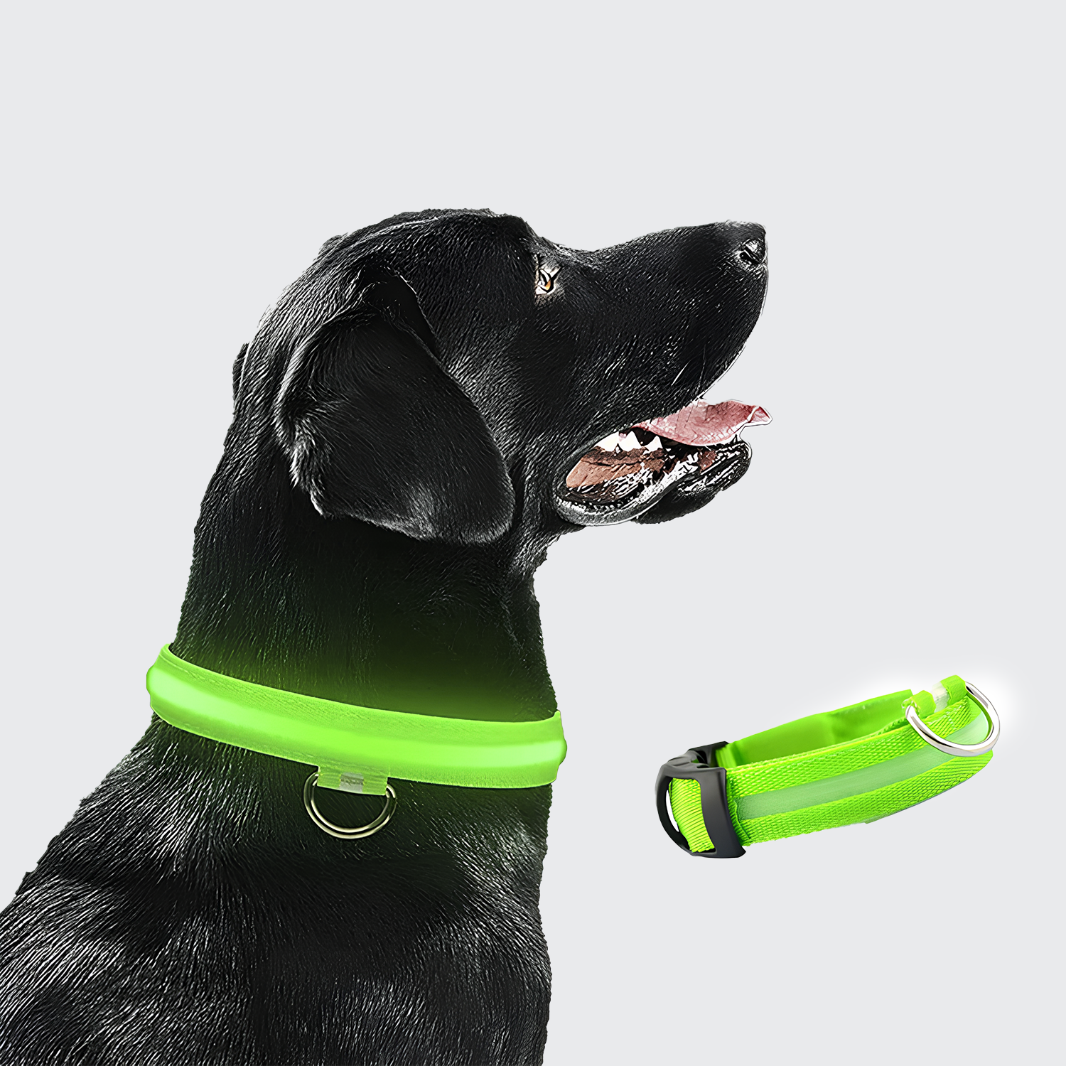 Nord Led Secure Collar