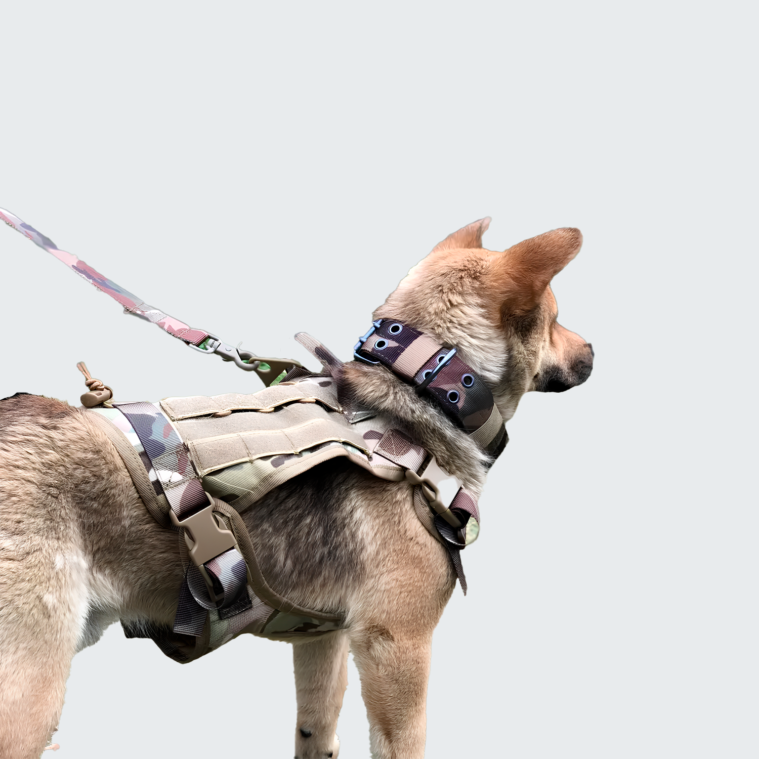 Nord Harness Dog Vest With Robust K9 Leash