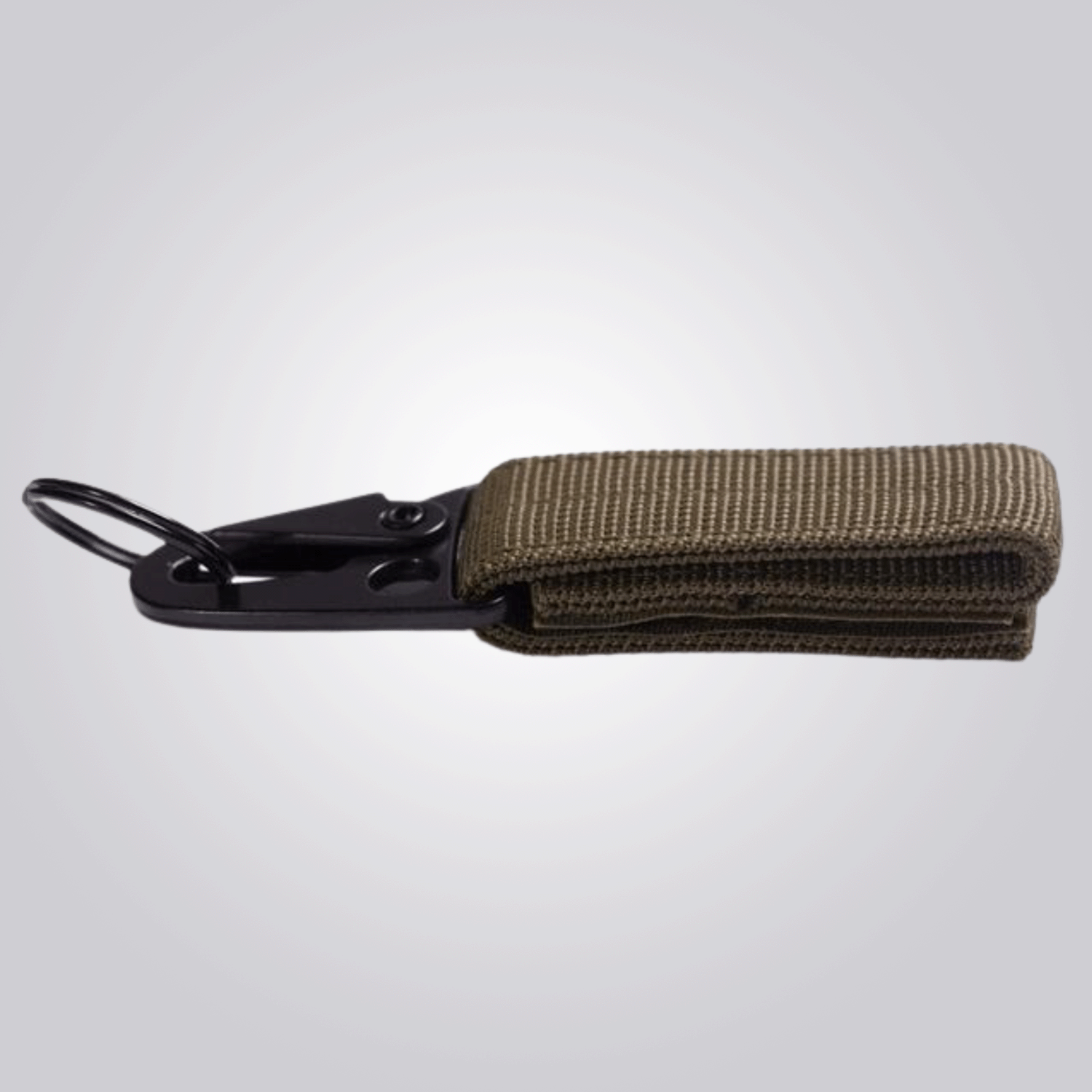 Basic Nord Carabiner