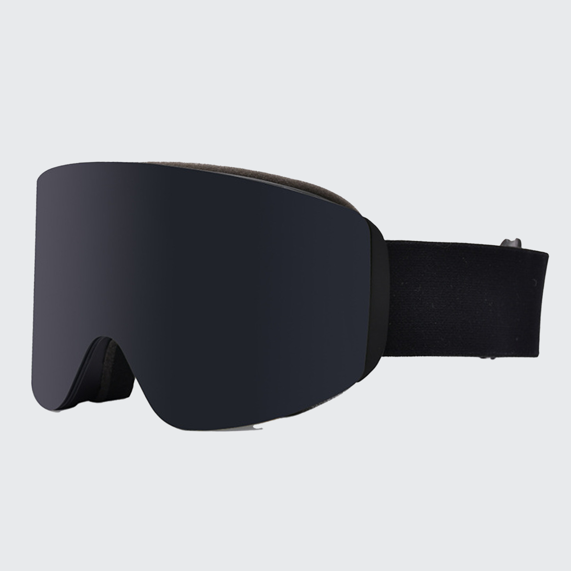 Nord Panoramic Goggles