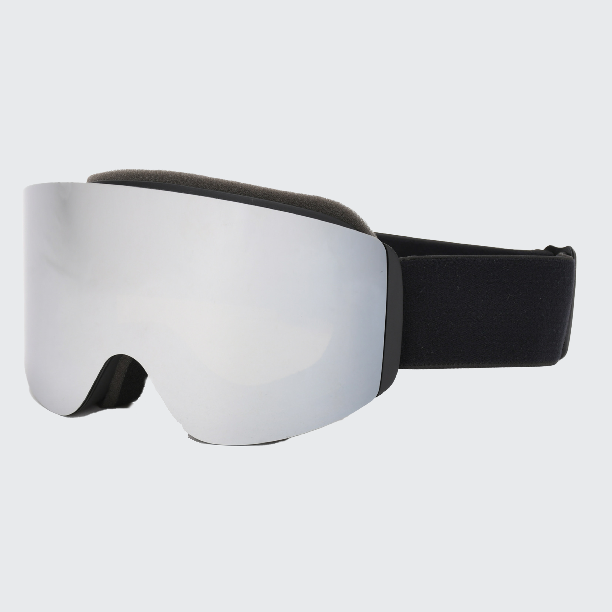 Panoramic Nord Goggles