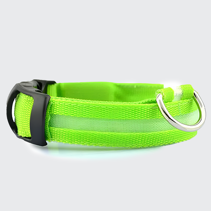 Nord Led Secure Collar