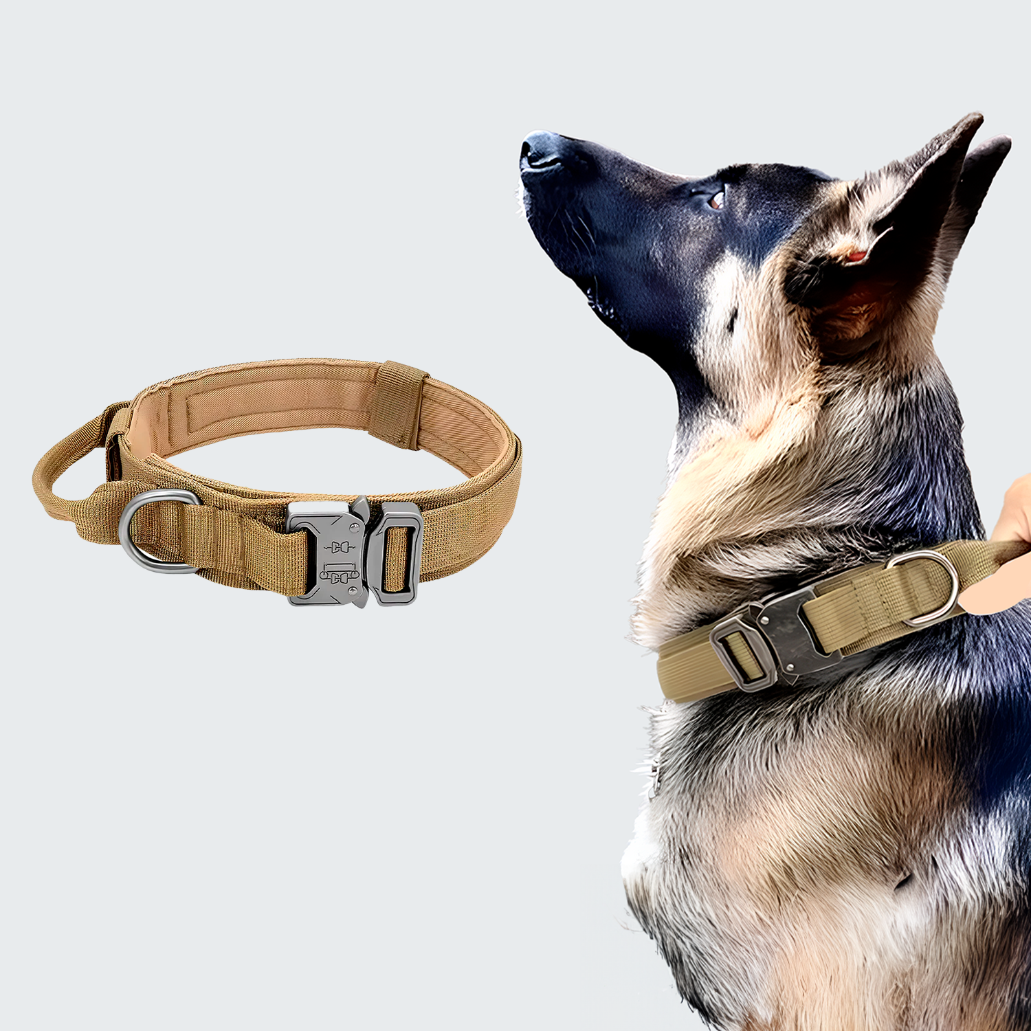 Basic Nord Collar