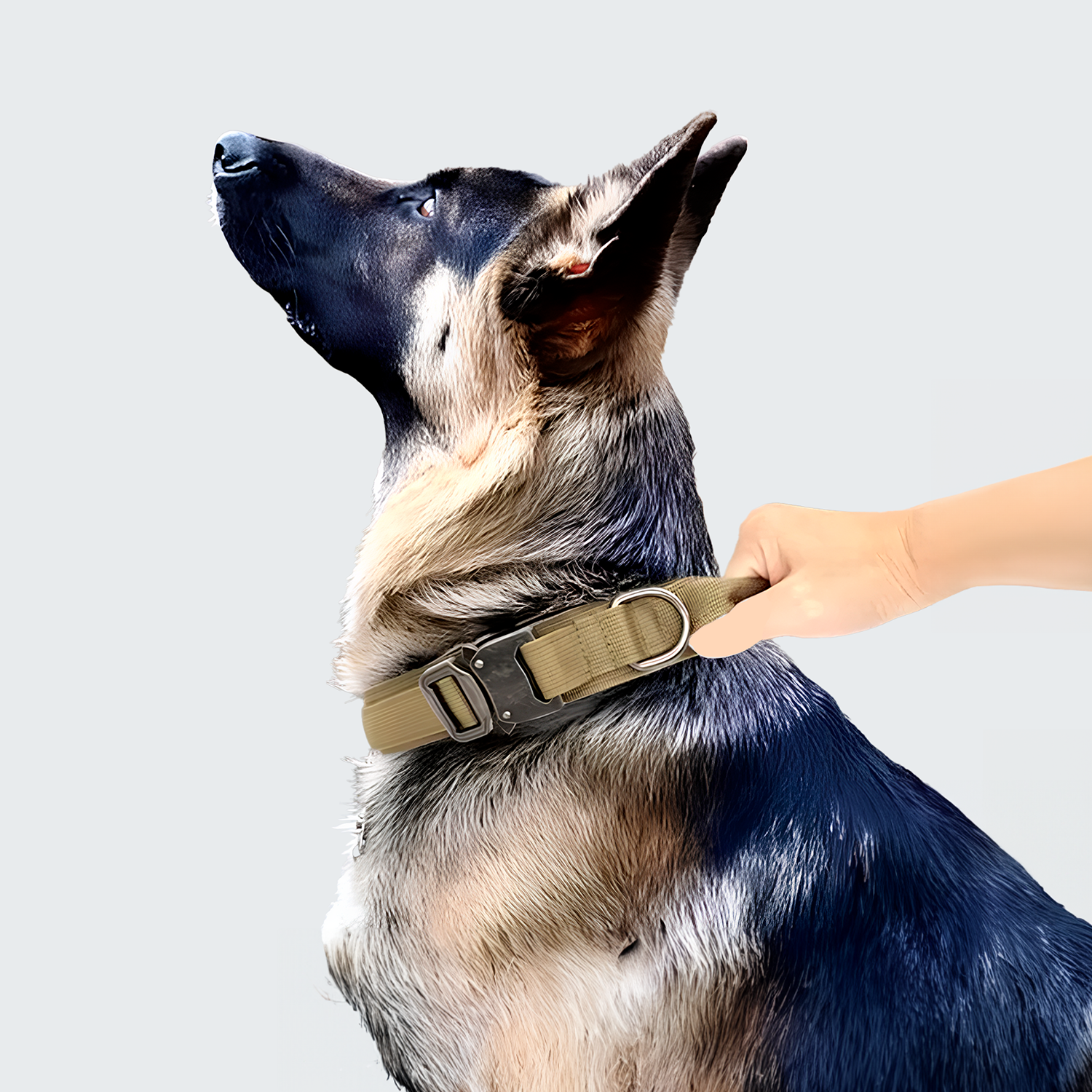 Basic Nord Collar